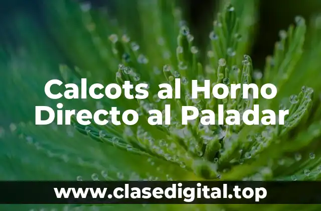 Calcots al Horno Directo al Paladar