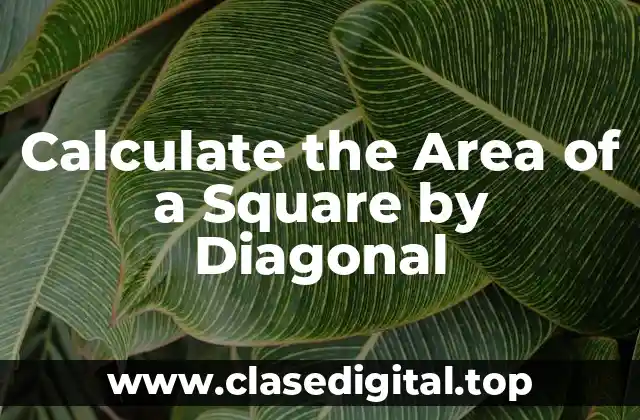 Understanding the Concept of Diagonal in a Square
