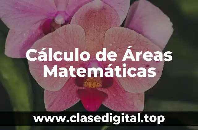 Cálculo de Áreas Matemáticas