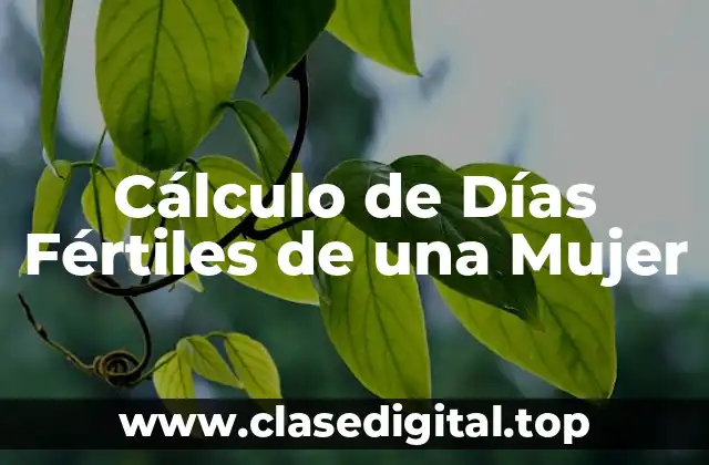 ¿Cuál es el Ciclo Menstrual y Cómo Funciona?