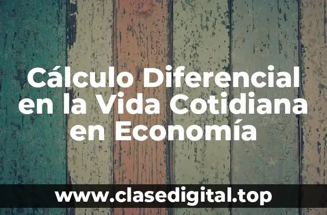 Cálculo Diferencial en la Vida Cotidiana en Economía
