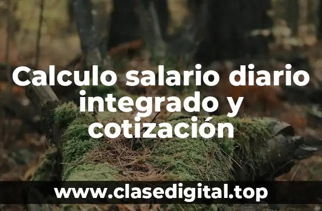 Calculo salario diario integrado y cotización