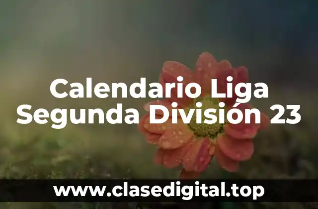 Calendario Liga Segunda División 23