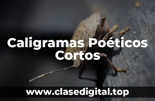 Caligramas Poéticos Cortos