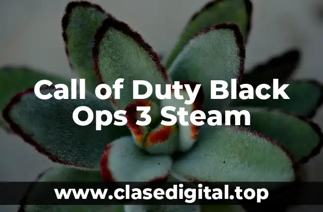 Call of Duty Black Ops 3 Steam