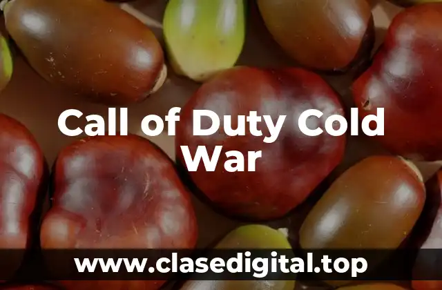 Call of Duty Cold War
