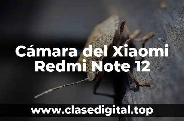 Cámara del Xiaomi Redmi Note 12