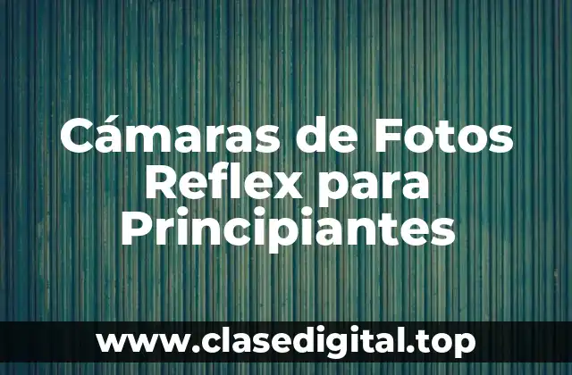 Cámaras de Fotos Reflex para Principiantes