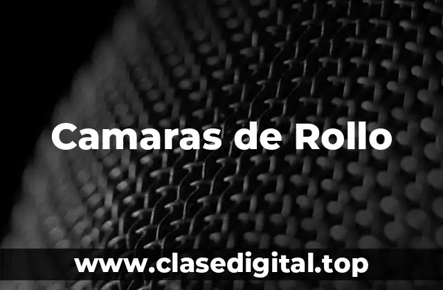 Camaras de Rollo