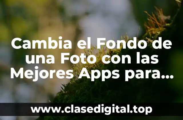 Cambia el Fondo de una Foto con las Mejores Apps para Editar Fotos