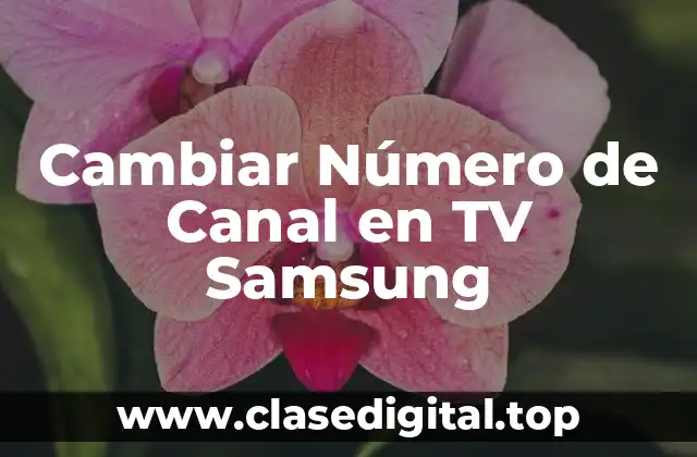 Cambiar Número de Canal en TV Samsung