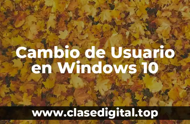 Cambio de Usuario en Windows 10