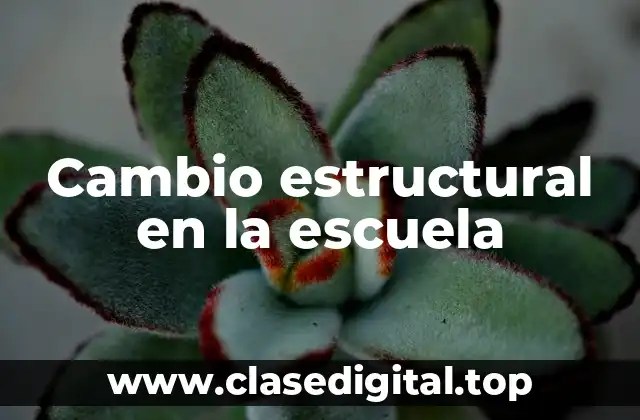 Cambio estructural en la escuela