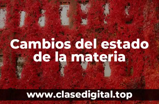 Ejemplos de cambios del estado de la materia