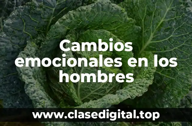 Cambios emocionales en los hombres