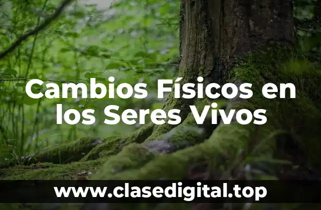 Cambios Físicos en los Seres Vivos