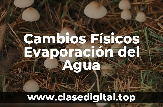 Cambios Físicos Evaporación del Agua