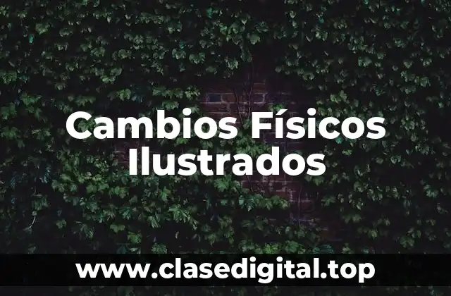Cambios Físicos Ilustrados