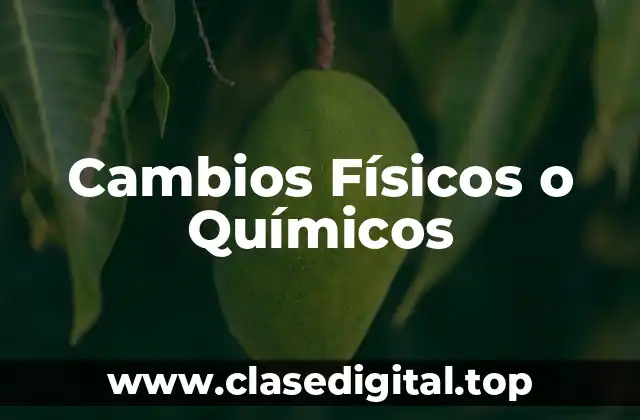 Ejemplos de Cambios Físicos o Químicos
