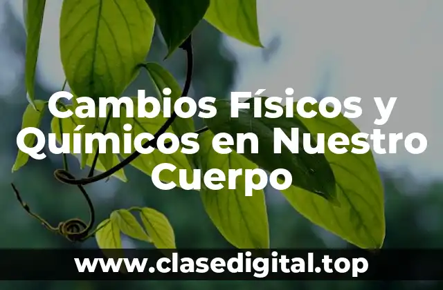 Cambios Físicos y Químicos en Nuestro Cuerpo