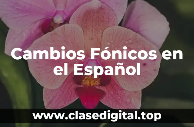 Cambios Fónicos en el Español