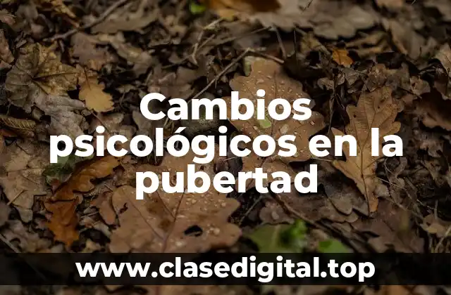 Cambios psicológicos en la pubertad