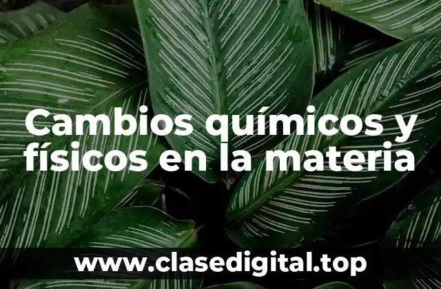 Ejemplos de cambios químicos y físicos en la materia