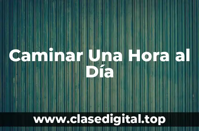 Caminar Una Hora al Día