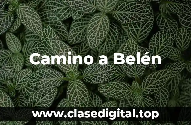 Camino a Belén