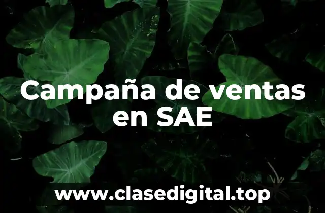 Campaña de ventas en SAE