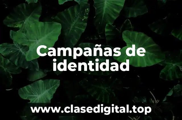 Campañas de identidad
