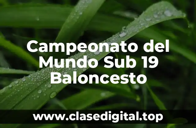 Campeonato del Mundo Sub 19 Baloncesto