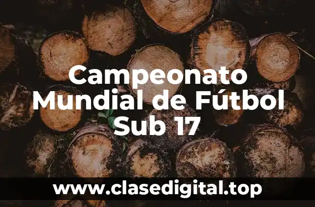 Historia del Campeonato Mundial de Fútbol Sub 17