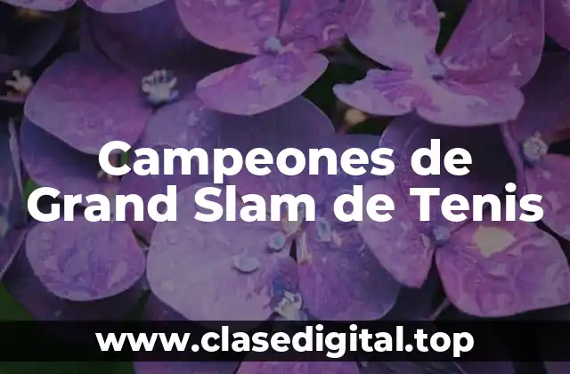 Campeones de Grand Slam de Tenis