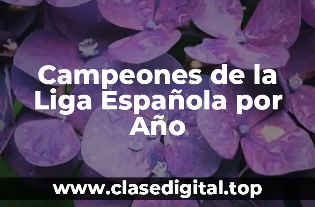 Campeones de la Liga Española por Año