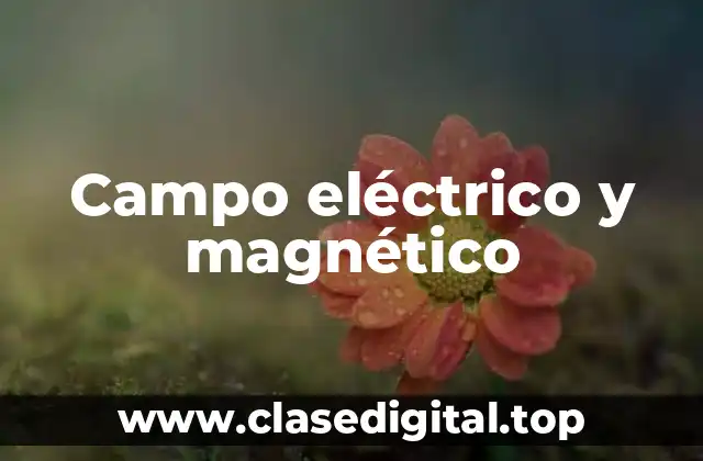 Campo eléctrico y magnético