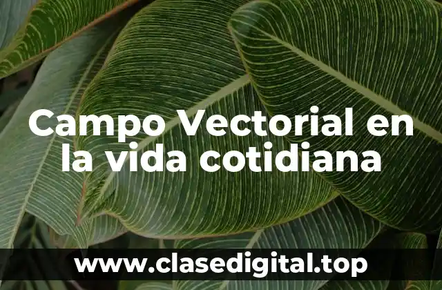 Ejemplos de Campo Vectorial en la vida cotidiana