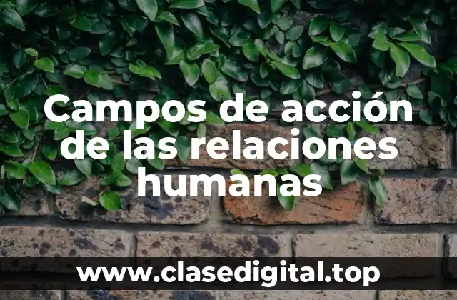 Campos de acción de las relaciones humanas
