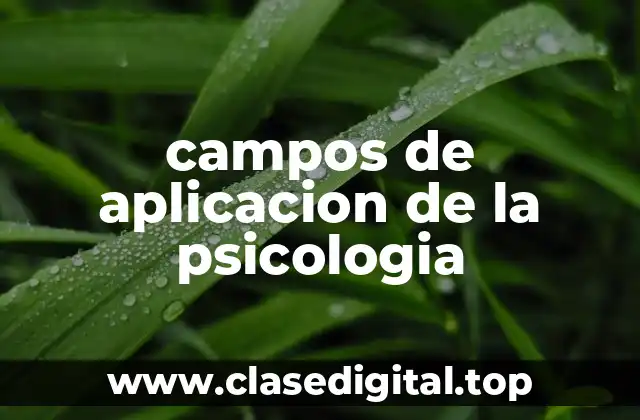 campos de aplicacion de la psicologia