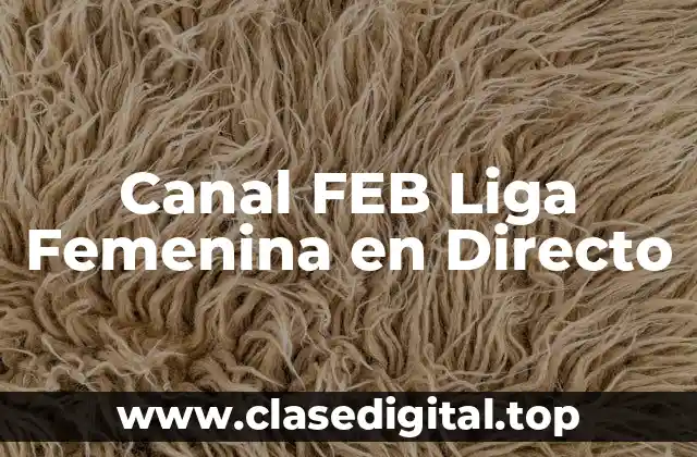 Canal FEB Liga Femenina en Directo