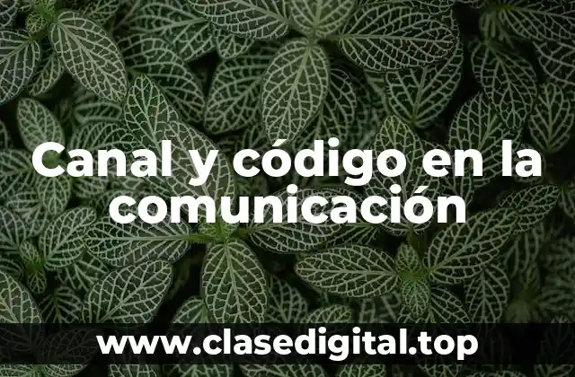 Canal y código en la comunicación