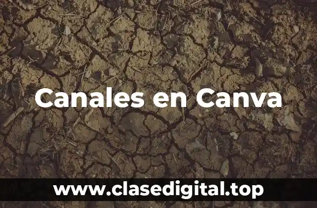 Canales en Canva