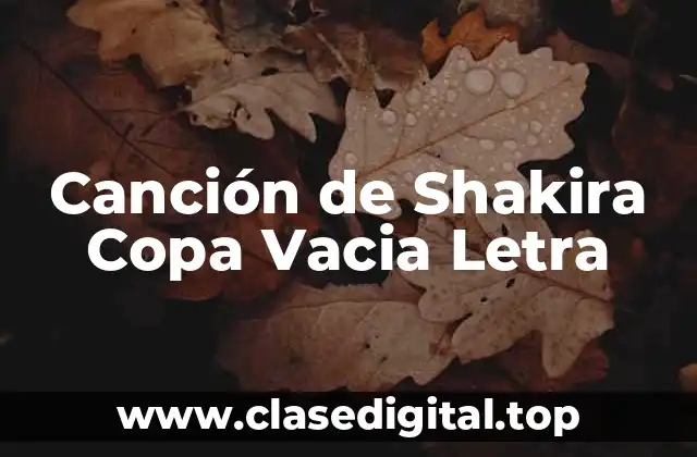 Canción de Shakira Copa Vacia Letra