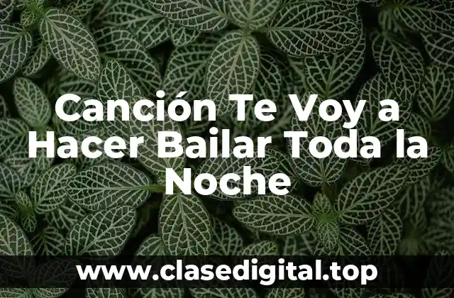 Canción Te Voy a Hacer Bailar Toda la Noche