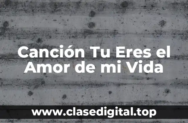 Canción Tu Eres el Amor de mi Vida