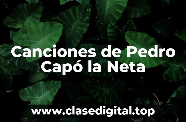 Canciones de Pedro Capó la Neta