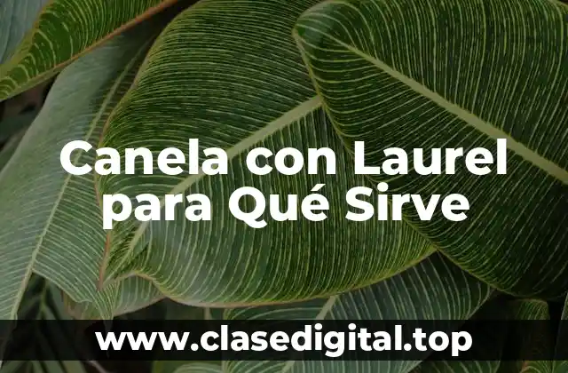 Canela con Laurel para Qué Sirve