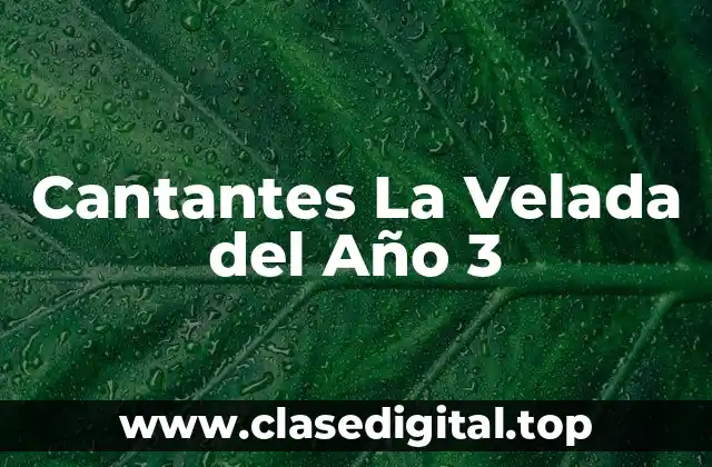 Cantantes La Velada del Año 3