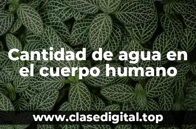 Cantidad de agua en el cuerpo humano