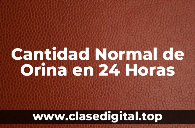¿Qué es la Cantidad Normal de Orina en 24 Horas?